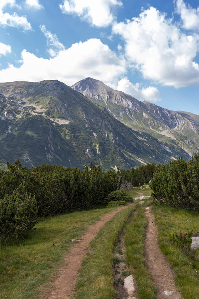 Paysage estival de la montagne Pirin près de la cabane Vihren, Bulgarie - Photo, image