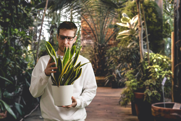 a male garden worker holding a plant pot with flower in a greenhouse, plant nursery - Fotó, kép