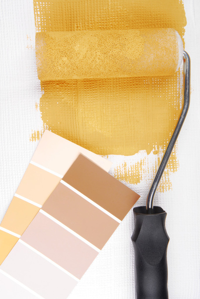 Paint roller and color chart choice - Photo, Image