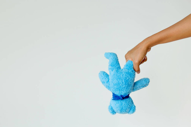 Плюшевый мишка, плюшевая игрушка - Фото, изображение
