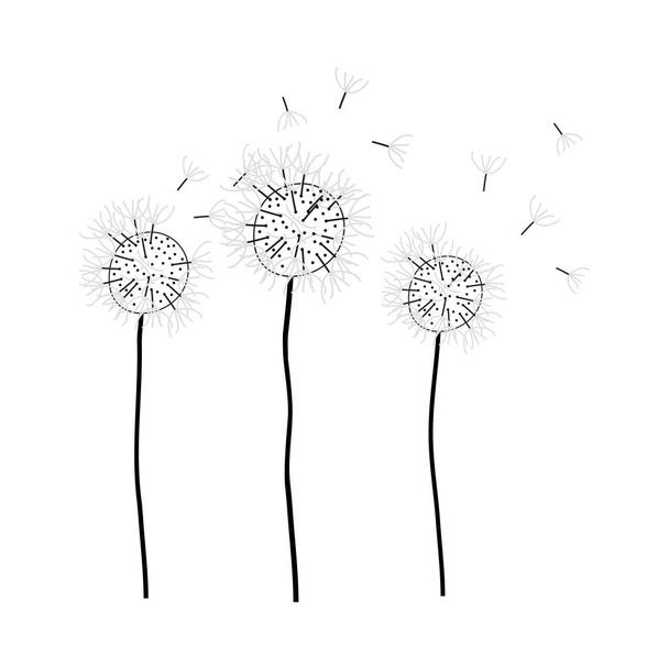 Doodle sketch dandelion with color fill. Simple design suitable for making greeting cards. Vector illustration. - Vector, Image