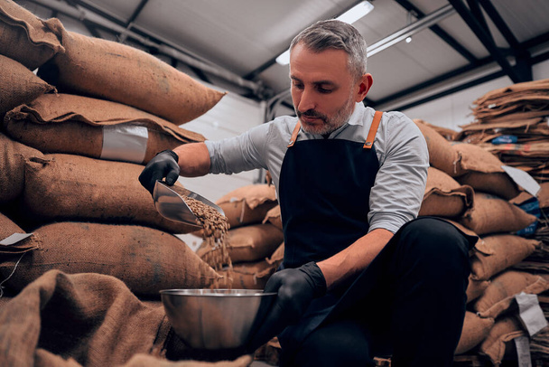 Front view of adult man pouring raw coffee beans in a bawl. - Foto, Bild