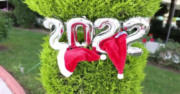 Kırmızı Noel Baba şapkalı şişirilebilir 2022 figürleri yeşil thuja 4k film ağırlığındadır. - Video, Çekim