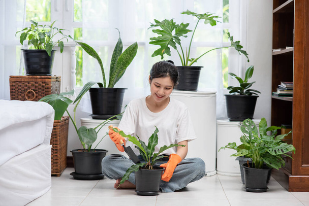 De vrouw droeg oranje handschoenen en plantte bomen in huis.. - Foto, afbeelding