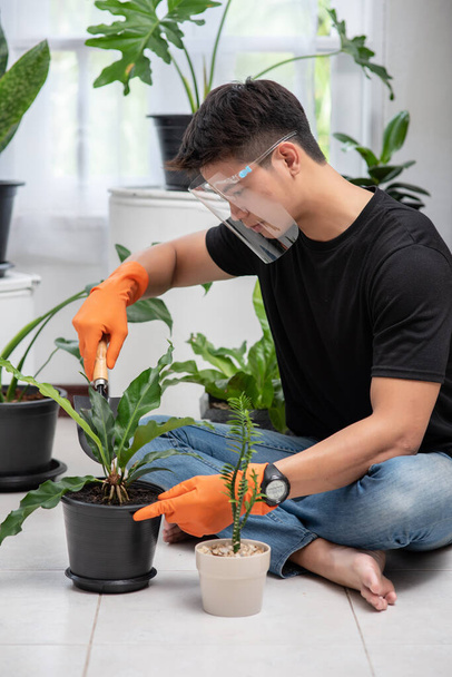 Hombres que usan guantes naranjas y plantan árboles en el interior. - Foto, imagen