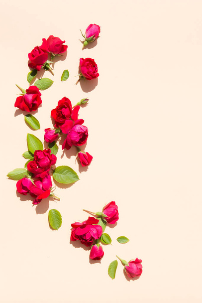 Flat lay, copy space. Summer composition with roses and leaves - Foto, imagen