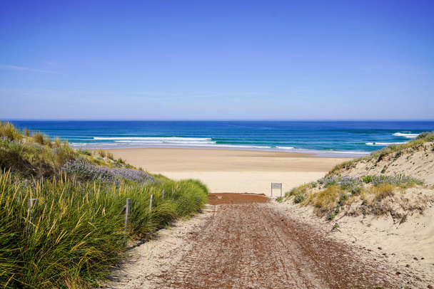 camino de arena acceso a la playa en un día soleado con cielo azul y olas en lacanau Atlántico en Francia en el día de verano - Foto, imagen