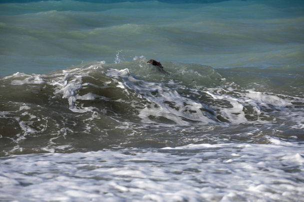Deniz kıyısında köpüklü büyük dalgalar, dinlenme, yatay - Fotoğraf, Görsel