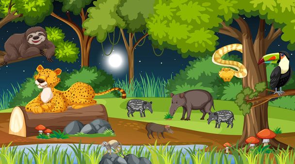 Wild animals in nature forest at night scene illustration - Vector, Image