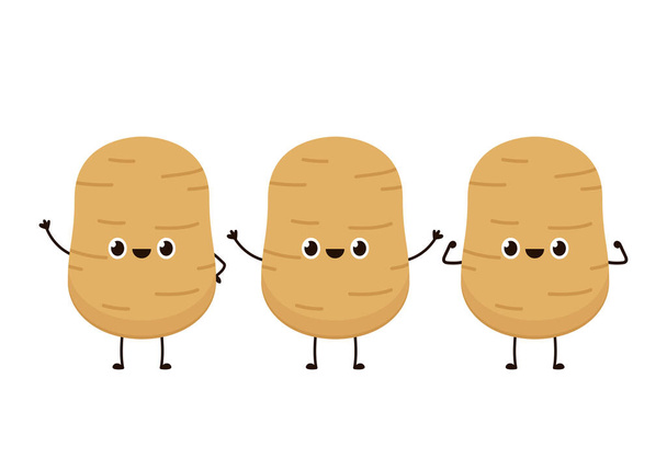 Potato character design. Potato vector. Potato cartoon on white background. - Vector, Image