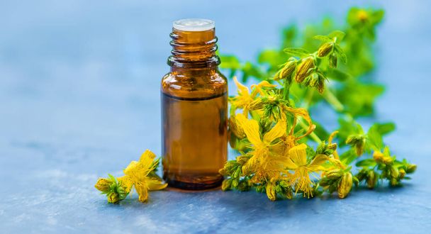 An essential oil extract of St. John's wort herb. Selective focus. Nature. - Foto, Imagem