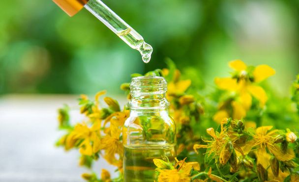 An essential oil extract of St. John's wort herb. Selective focus. Nature. - Foto, imagen