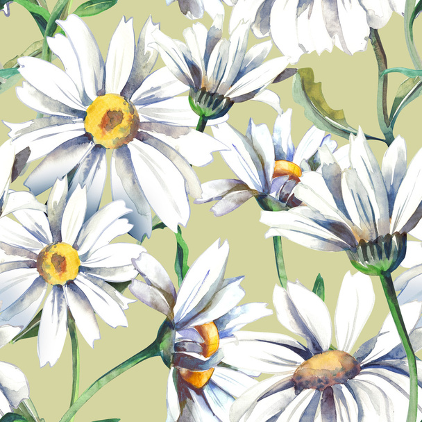 Daisies Seamless Pattern - Фото, зображення