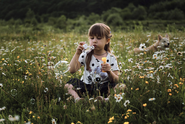 Kleines Mädchen im Kleid sitzt im Kamillenfeld und pustet Seifenblasen. Glückliche Kindheit in der Natur inmitten von Blumen. Kamillenfeld und Kind bei Sonnenuntergang. - Foto, Bild