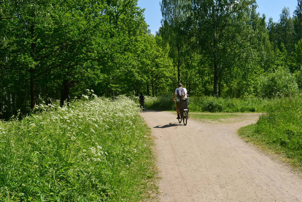 path in the woods,  walk in the park - Valokuva, kuva