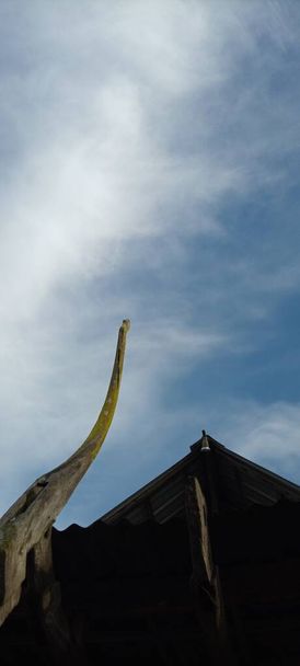 casa del pájaro en viejo árbol de madera sobre fondo cielo azul nublado - Foto, Imagen