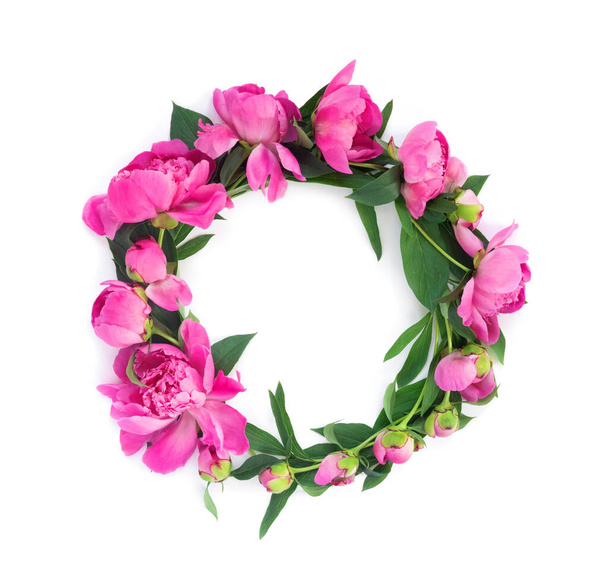 Round garland of beautiful pink peonies on white isolated background. Creative floral wreath. - Foto, imagen