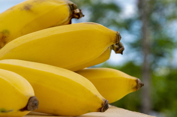 Букет свіжого органічного жовтого стиглого банана
. - Фото, зображення
