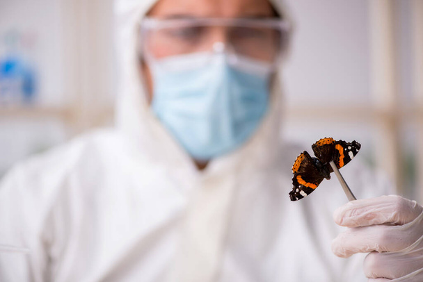 Jeune chimiste zoologiste travaillant au laboratoire pendant la pandémie - Photo, image