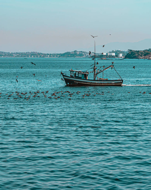 Łódź rybacka otoczona ptakami morskimi w Zatoce Guanabara, Rio de Janeiro, Brazylia. Rybołówstwo tradycyjne jest prowadzone niezależnie, przez tradycyjnych rybaków lub w ramach systemu gospodarki rodzinnej..  - Zdjęcie, obraz