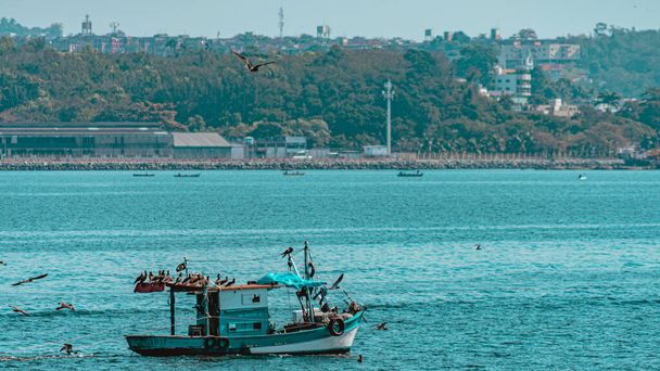 Рыбацкая лодка в окружении морских птиц в заливе Гуанабара, Рио-де-Жанейро, Бразилия. Ремесленная рыбалка практикуется автономно, традиционными рыбаками, или в режиме семейного хозяйства.  - Фото, изображение