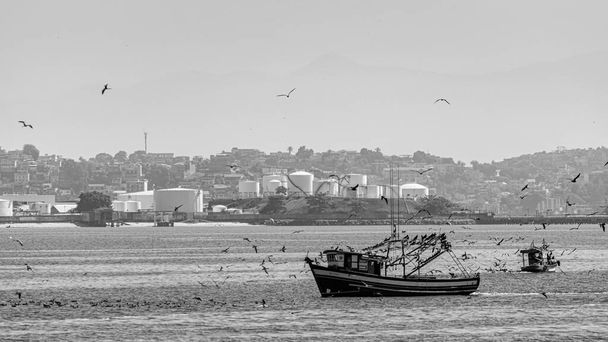 Łódź rybacka otoczona ptakami morskimi w Zatoce Guanabara, Rio de Janeiro, Brazylia. Rybołówstwo tradycyjne jest prowadzone niezależnie, przez tradycyjnych rybaków lub w ramach systemu gospodarki rodzinnej..  - Zdjęcie, obraz