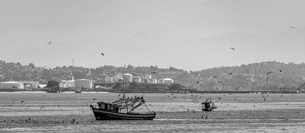 Barco pesquero rodeado de aves marinas en la Bahía de Guanabara, Río de Janeiro, Brasil. La pesca artesanal es practicada autónomamente, por pescadores tradicionales, o en un régimen de economía familiar.  - Foto, imagen