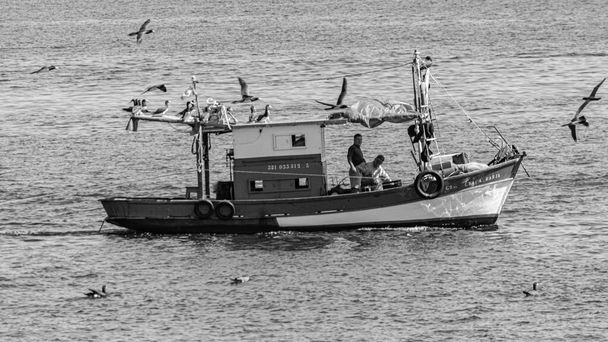 Vissersboot omringd door zeevogels in Guanabara Bay, Rio de Janeiro, Brazilië. Ambachtelijke visserij wordt autonoom beoefend, door traditionele vissers, of in een familiale economie.  - Foto, afbeelding
