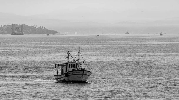 Merilintujen ympäröimä kalastusvene Guanabara Bayssa, Rio de Janeirossa, Brasiliassa. Perinteiset kalastajat harjoittavat käsityöammattikalastusta itsenäisesti tai perhetalousjärjestelmässä..  - Valokuva, kuva