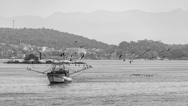 Tengeri madarakkal körülvett halászhajó Guanabara Bay-ben, Rio de Janeiro, Brazília. A kisüzemi halászatot önállóan, hagyományos halászok által vagy családi gazdaságban végzik..  - Fotó, kép