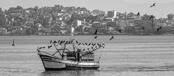 Tengeri madarakkal körülvett halászhajó Guanabara Bay-ben, Rio de Janeiro, Brazília. A kisüzemi halászatot önállóan, hagyományos halászok által vagy családi gazdaságban végzik..  - Fotó, kép