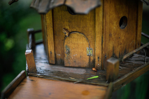 Profundidad de campo poco profunda (enfoque selectivo) detalles con una casa de pájaros de madera. - Foto, imagen