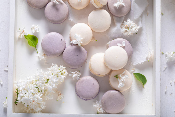 Gorgeous macaroons of flower flavour. Unique dessert arrangement. Beautiful background for a gift card.  - Photo, Image