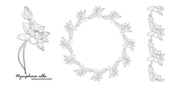 Corona floral vectorial con flores de lirio. Flores gráficas. - Vector, Imagen