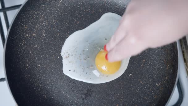 Nainen ripottelee munan paistinpannulla mausteilla - Materiaali, video