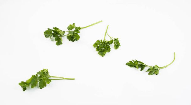 Sprig of fresh green parsley on a white background. - Фото, изображение