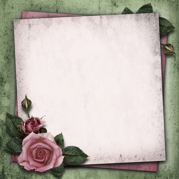 Rose flowers on vintage background - Fotografie, Obrázek