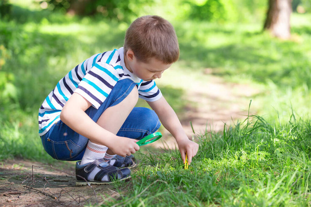 Kinder im Park auf einem Spaziergang Blumen sammeln und die Natur erkunden, Sommermorgen - Foto, Bild