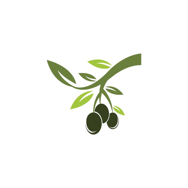 Olive logo szablon wektor ikona ilustracja projekt - Wektor, obraz