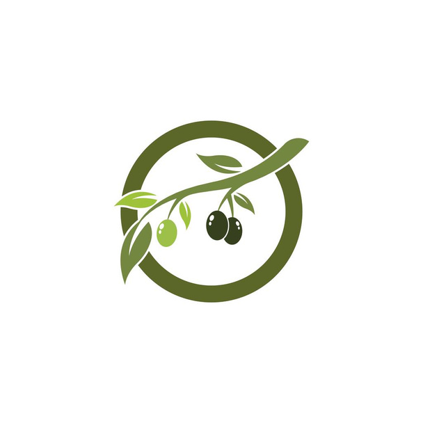 Olive logo modèle vectoriel icône illustration design - Vecteur, image
