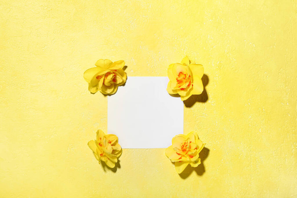 Hermosos narcisos y tarjeta en blanco sobre fondo de color - Foto, Imagen