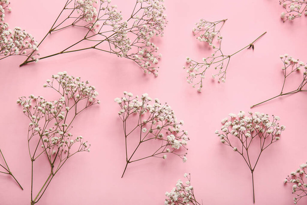 Красиві квіти гіпсофіли на кольоровому фоні
 - Фото, зображення