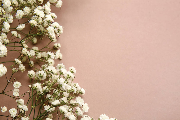 Красивые цветы гипсофилы на цветном фоне - Фото, изображение
