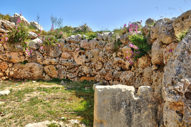 Malta, Świątynia ggantija malowniczej w gozo - Zdjęcie, obraz