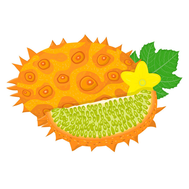 Frische ganze und in Scheiben geschnittene gelbe Kiwanofrüchte isoliert auf weißem Hintergrund. Sommerfrüchte für einen gesunden Lebensstil. Bio-Obst. Cartoon-Stil. Vektorillustration für jedes Design. - Vektor, Bild