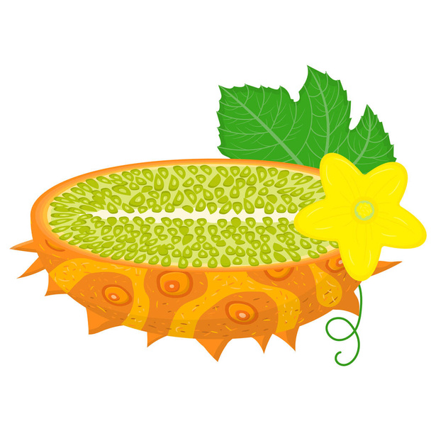 Vers half gesneden geel kiwano fruit met blad en bloem geïsoleerd op witte achtergrond. Zomervruchten voor een gezonde levensstijl. Biologisch fruit. Cartoon stijl. Vector illustratie voor elk ontwerp. - Vector, afbeelding