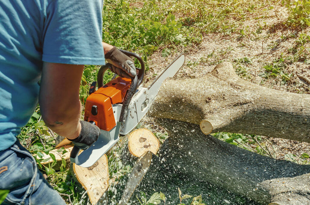 άνδρας εργάτης κόβει ξύλο με ηλεκτρικό αλυσοπρίονο. - Φωτογραφία, εικόνα
