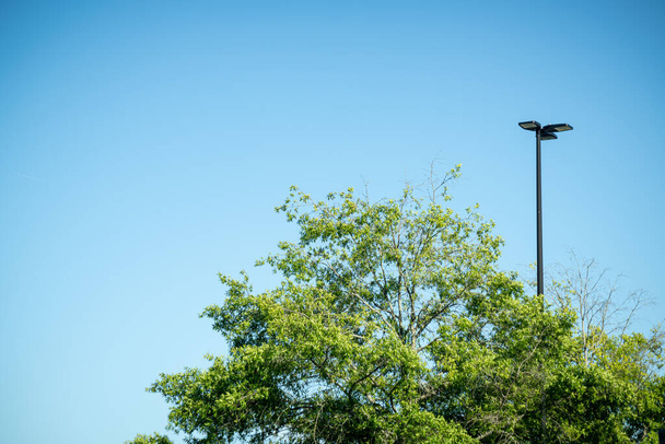 Um topo de árvore com folhas verdes justaposto com um pólo de luz de metal industrial preto contra céu azul sem nuvens claro.. - Foto, Imagem
