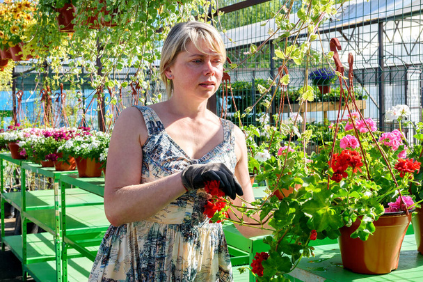 Florists woman working with flowers at a greenhouse. - Photo, Image