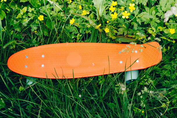 花のついた草の上のペニーボード。小さなプラスチックスケートボード。緑の芝生の上に青い車輪のピンクのペニーボード - 写真・画像